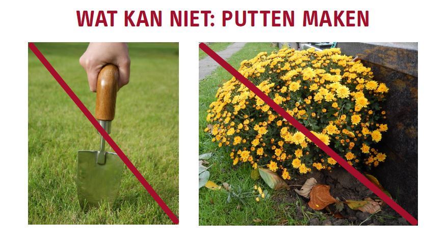 Geen putten maken voor bloempotten