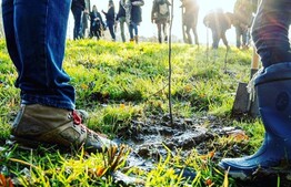 Inwoners planten geboortebomen en -struiken langs de Wervikstraat